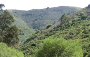 Tennessee Valley view