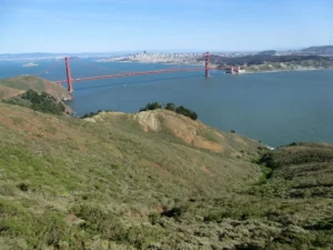 Hawk Hill 
