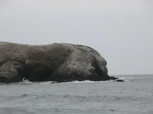 Bird Island near Rodeo Beach