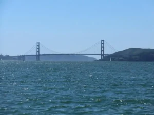 Battery Ledyard 