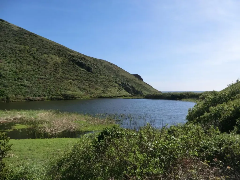 Tennessee Lagoon: A Place For Beauty and Wildlife
