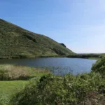 Tennessee Lagoon: A Place For Beauty and Wildlife