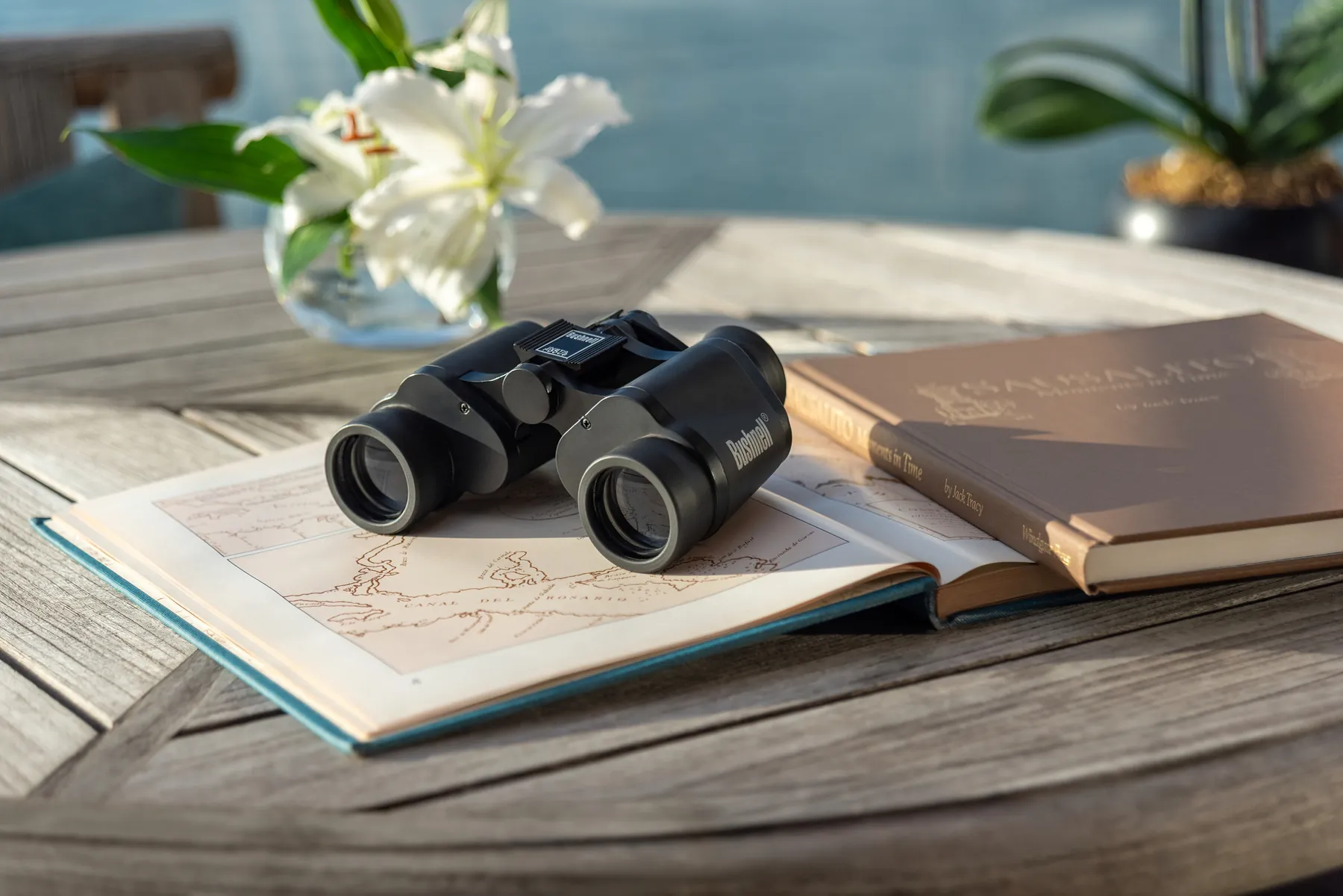 A pair of binoculars perched upon an open book. A floral arrangement sits in the background.
